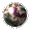Grande puce - 001